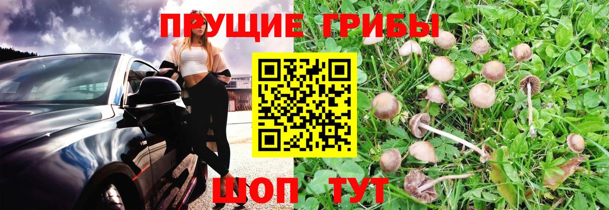 Ангарск  Галлюциногенные грибы мухоморы  Вход с VPN 
